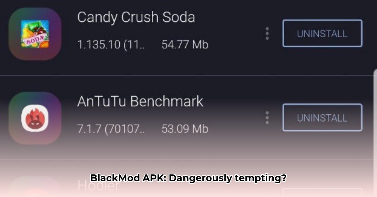 BlackMod APK Review: Risks Rewards Blackmod Apk BlackMod APK Review: Risks Rewards Blackmod Apk